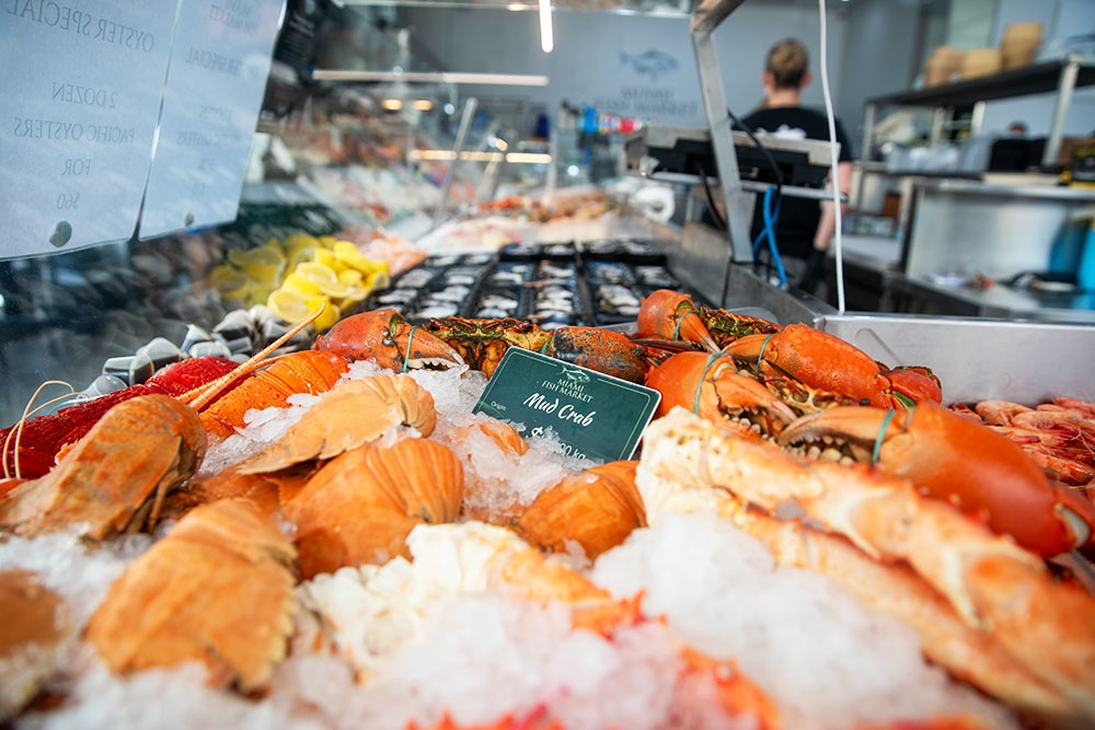 Fresh mud crab on display