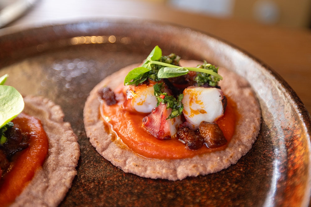 West Australian octopus taco, tomato, sobrasada & chimichurri