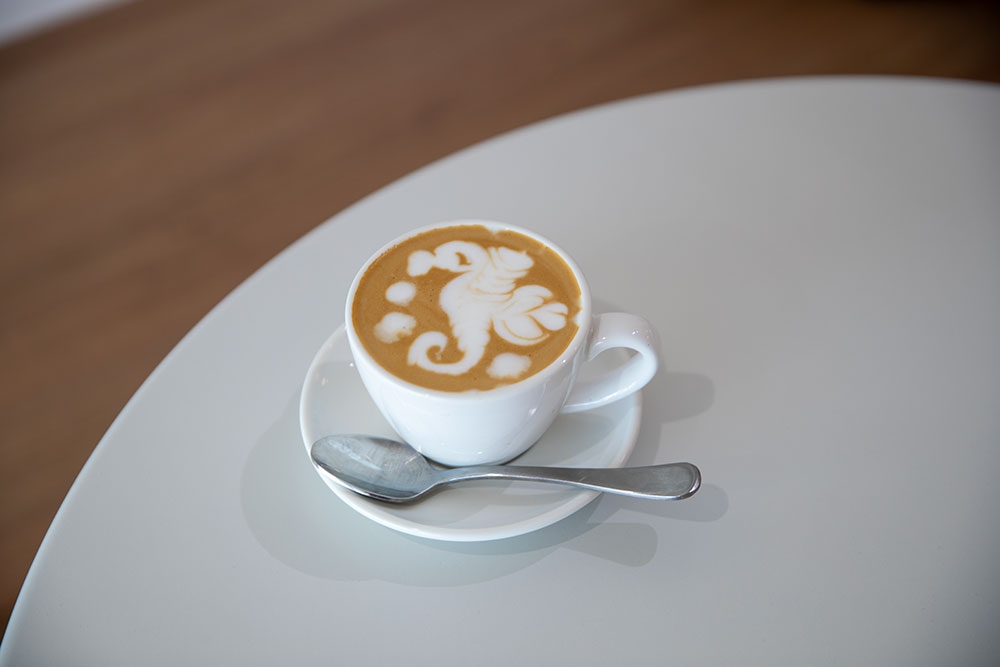 Seahorse latte art