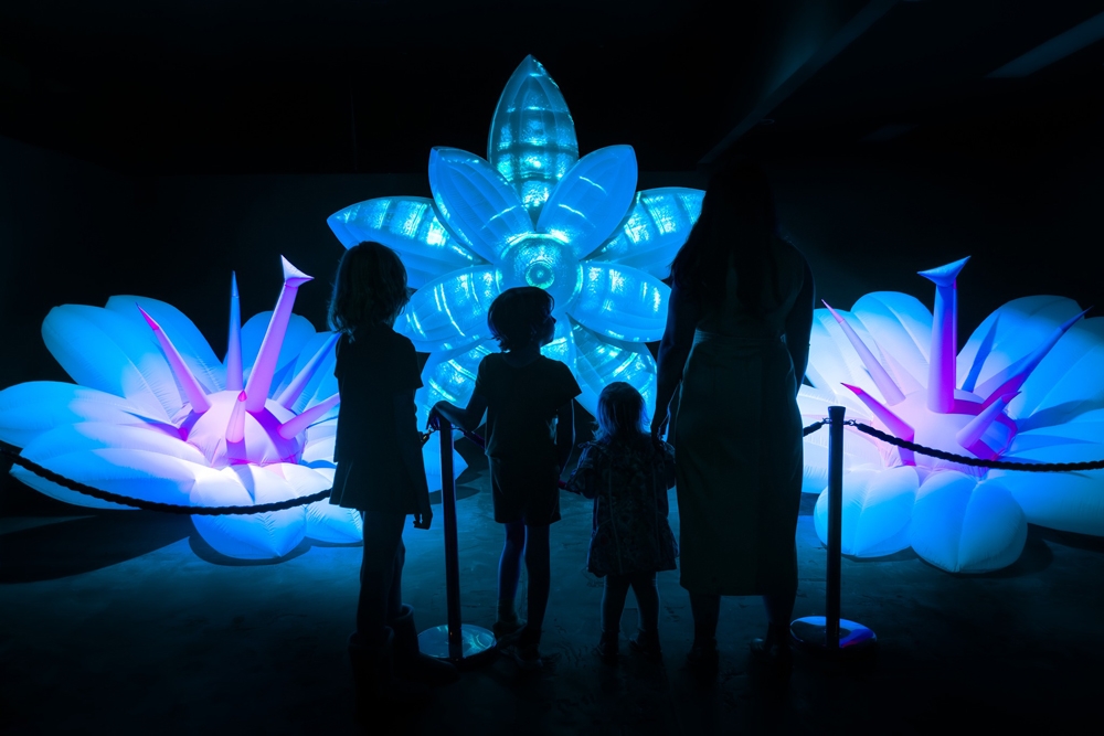 Family art adventure Otherworld Byron Bay