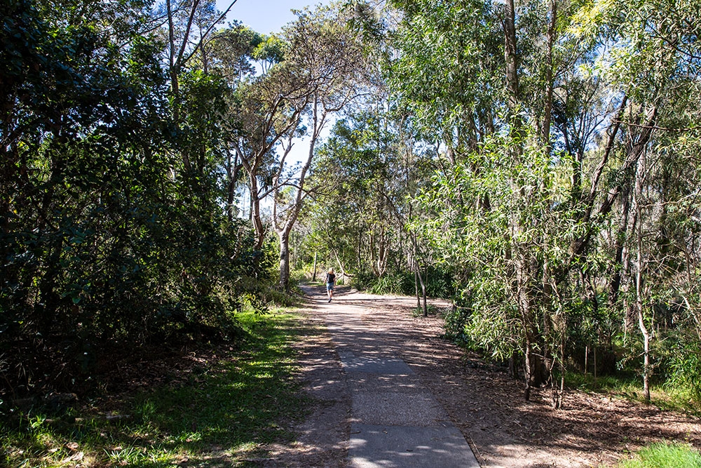 Palm Beach to Tugun Walk