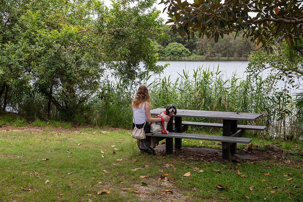 Picnic table on lake