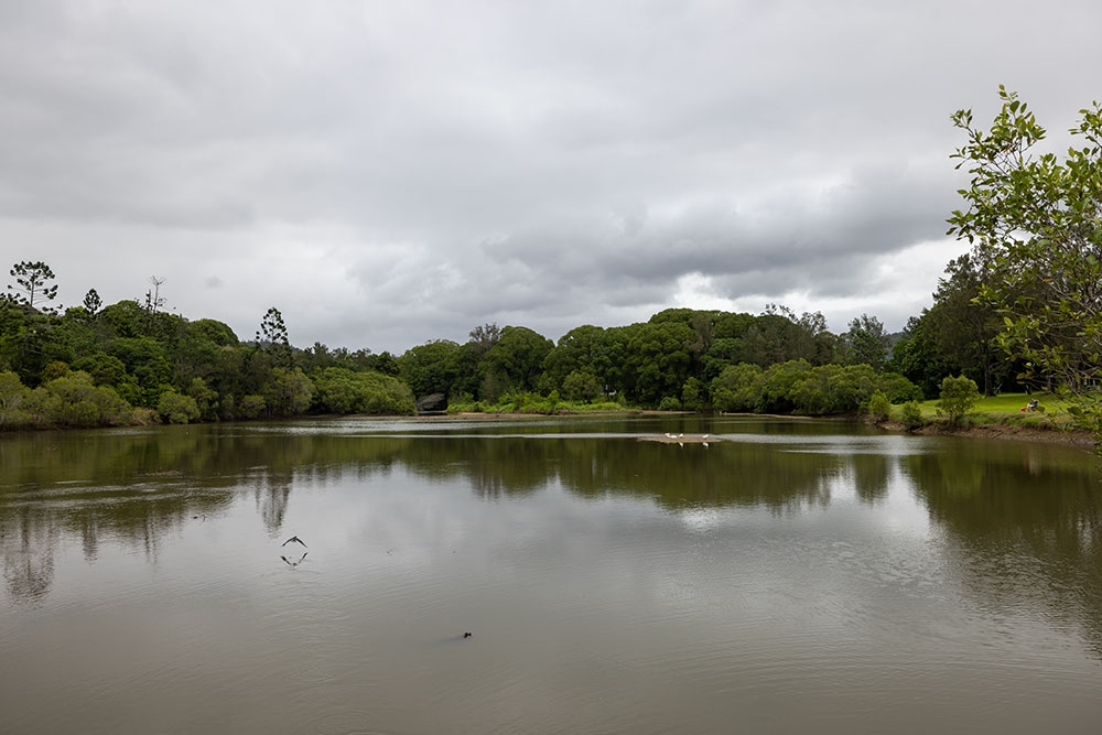 Robert Newmann Park Currumbin