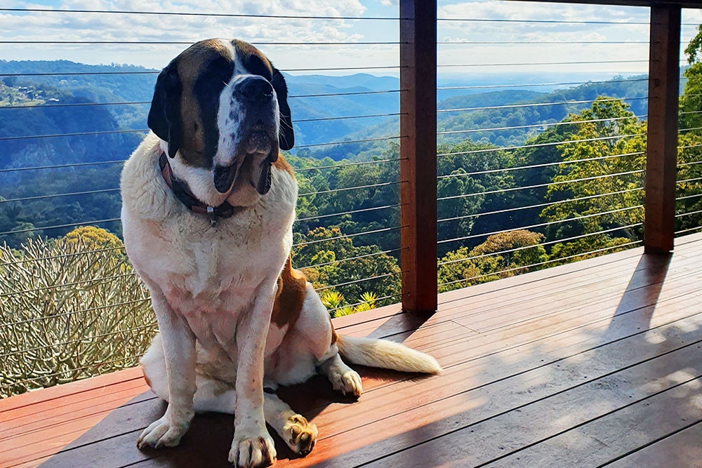 St Bernards Hotel, Tamborine Mountain, Gold Coast Hinterland