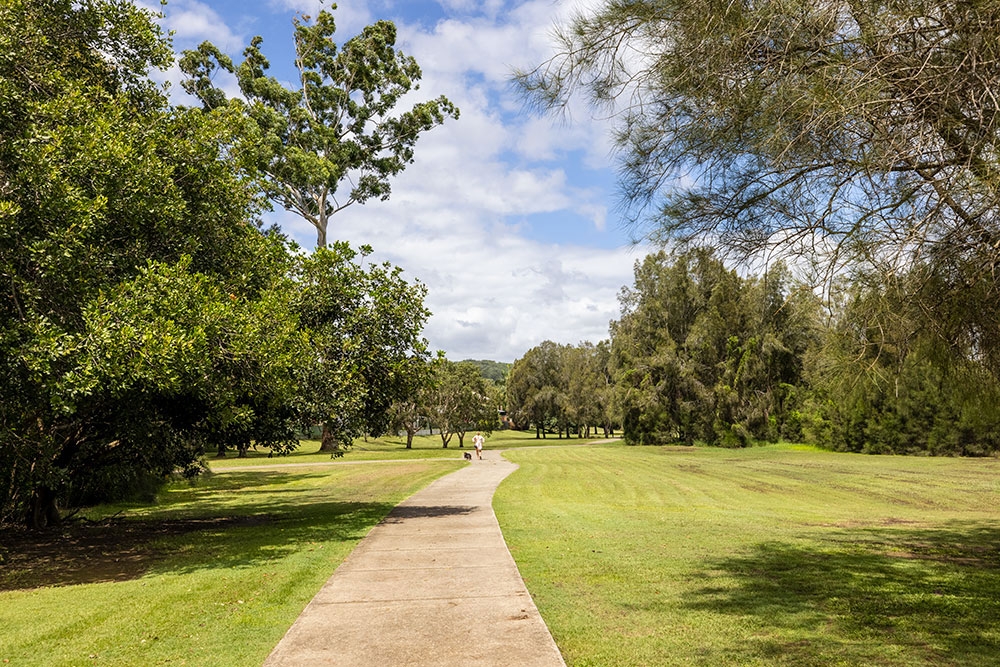 Tallebudgera Off Leash Agility Dog Island