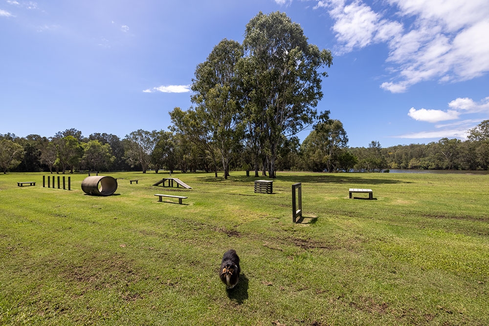 Tallebudgera Off Leash Agility Dog Island