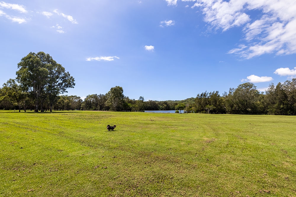 Tallebudgera Off Leash Agility Dog Island