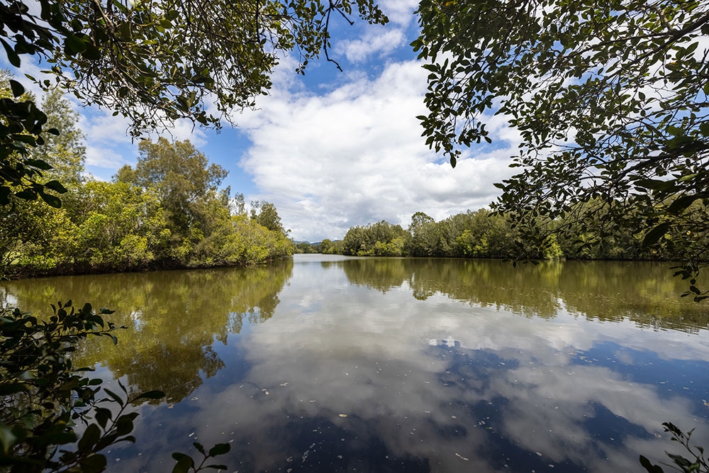Tallebudgera Off Leash Agility Dog Island