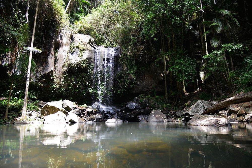 Curtis Falls