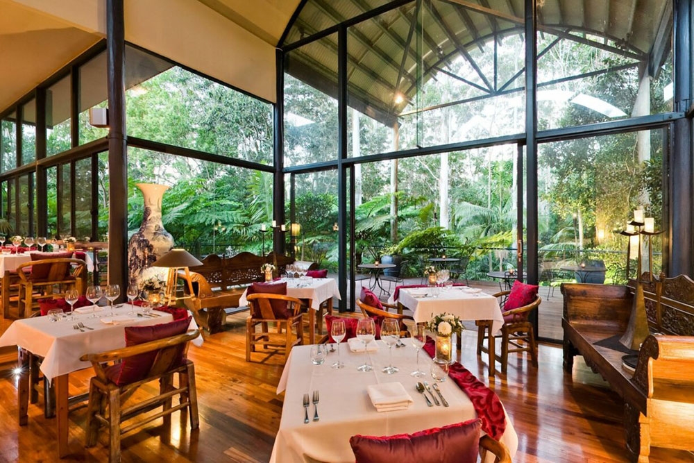 Pethers Rainforest Retreat Tamborine Mountain