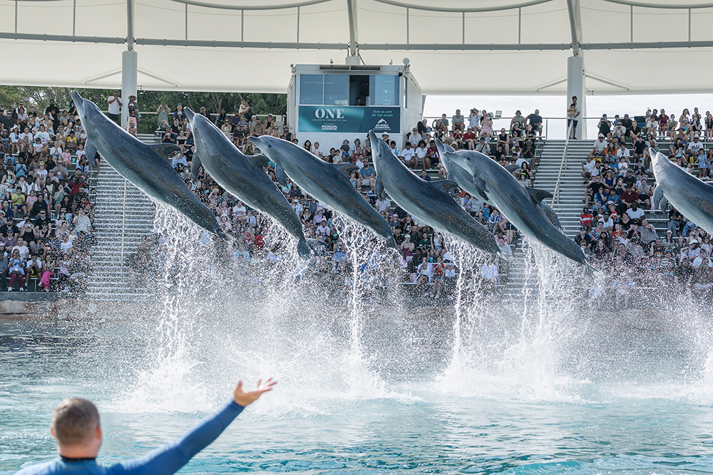 School Holidays at Village Roadshow Theme Parks