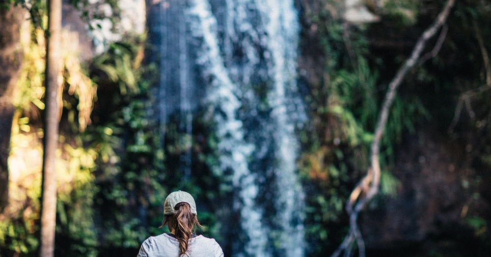 Curtis-Falls Tamborine Mountain