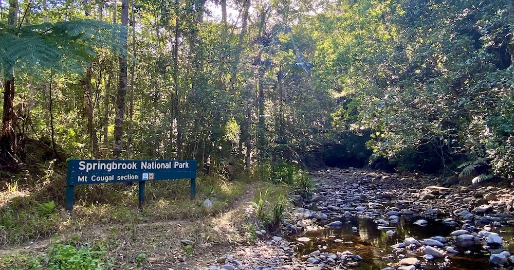 Cougal Cascades, Springbrook National Park