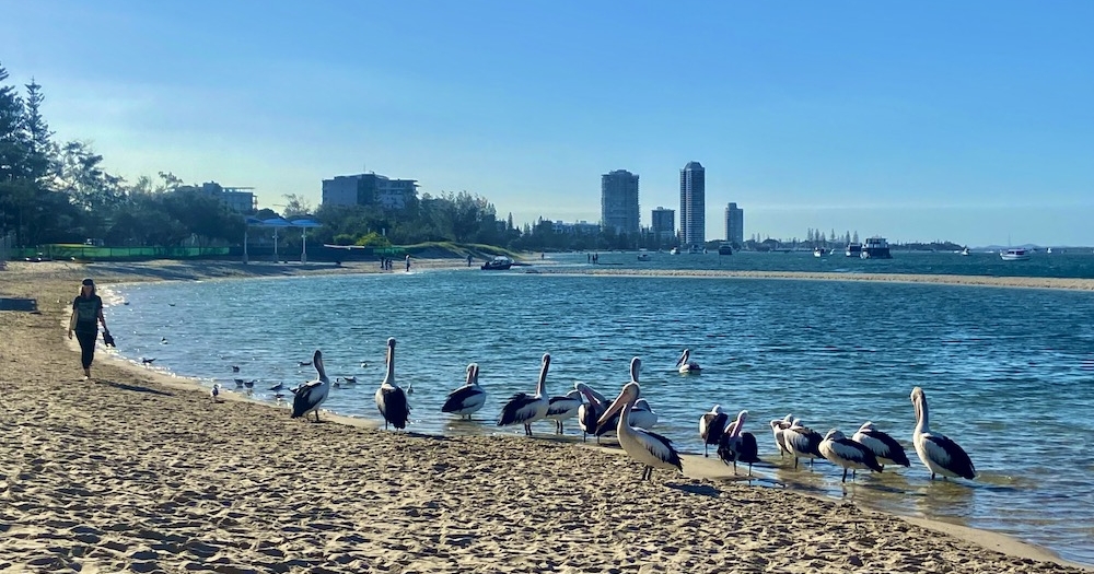 Marine Parade Foreshore Walk