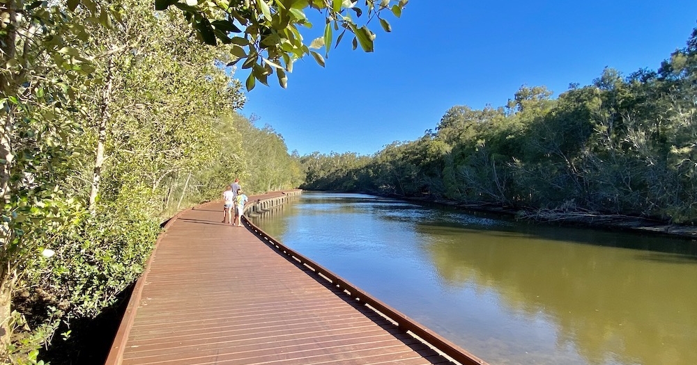 Myola Boardwalk, Coombabah Lakelands Conservation Area