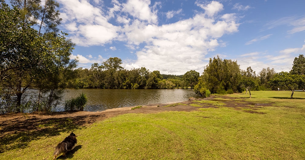 Tallebudgera Off Leash Agility Dog Island